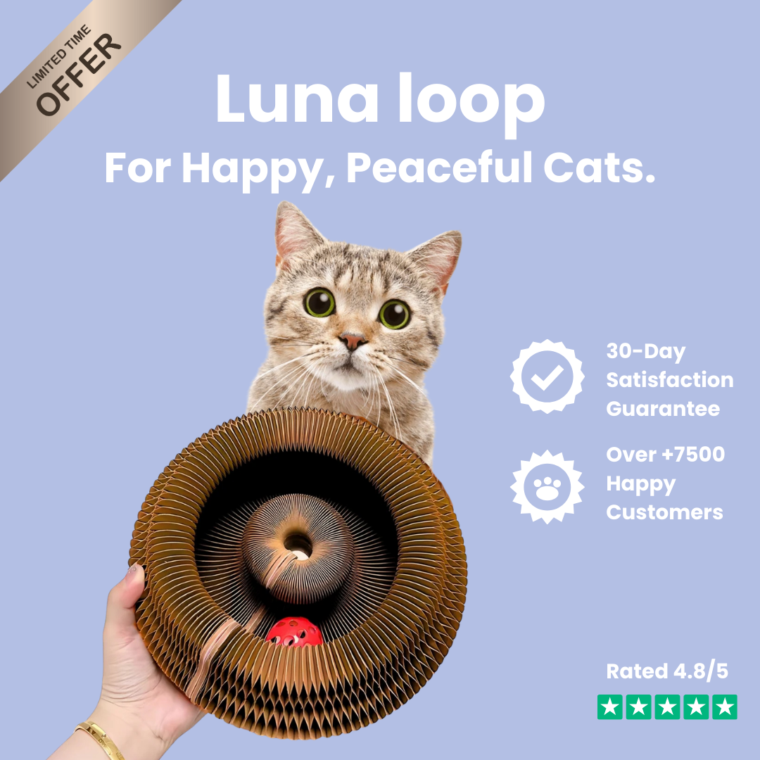 Luna Loop™ – Save Your Sofa, Entertain Your Cat