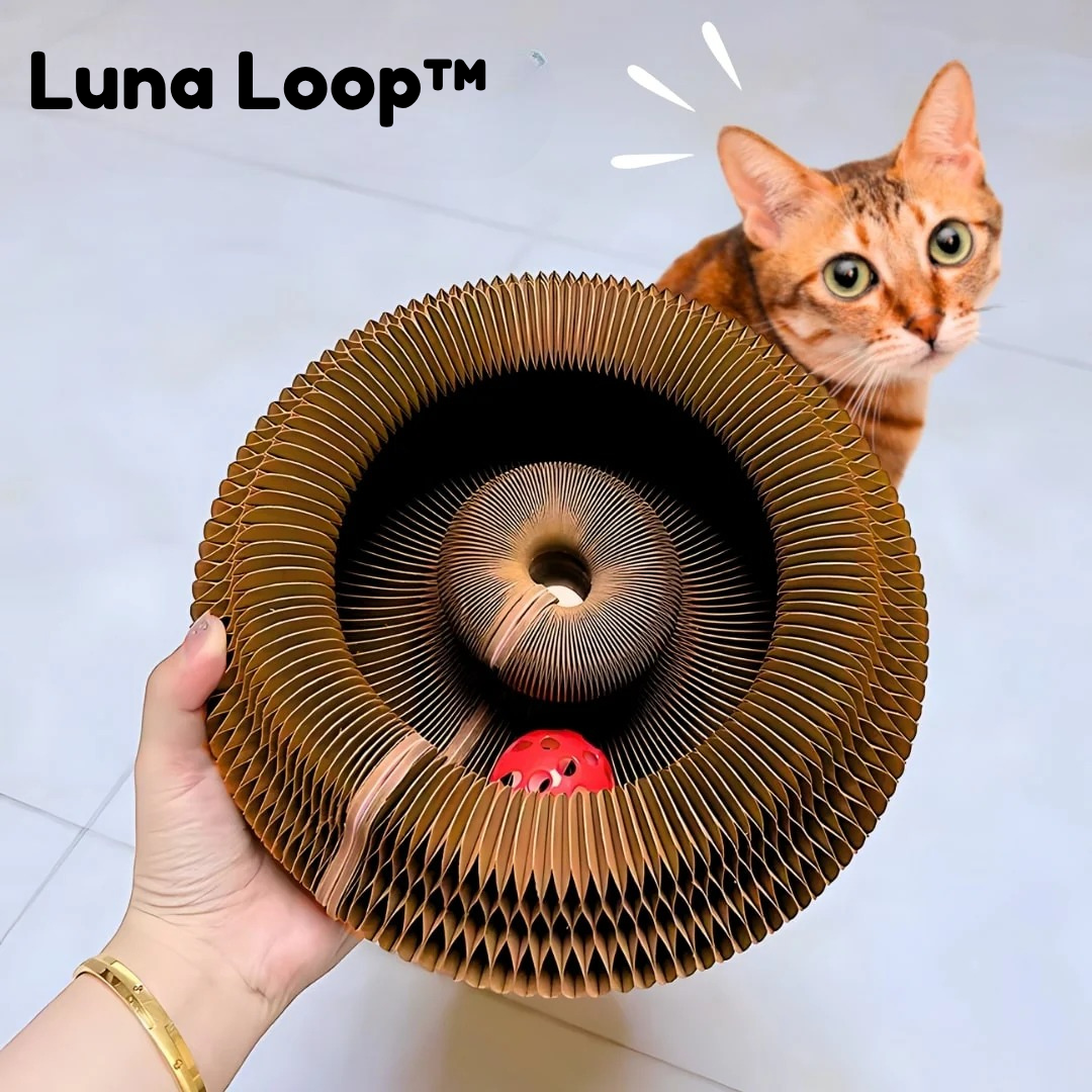 🎁 Luna Loop (100% off)