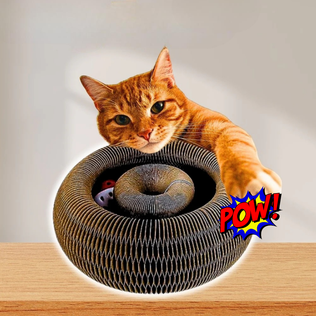 Luna Loop™ – Save Your Sofa, Entertain Your Cat