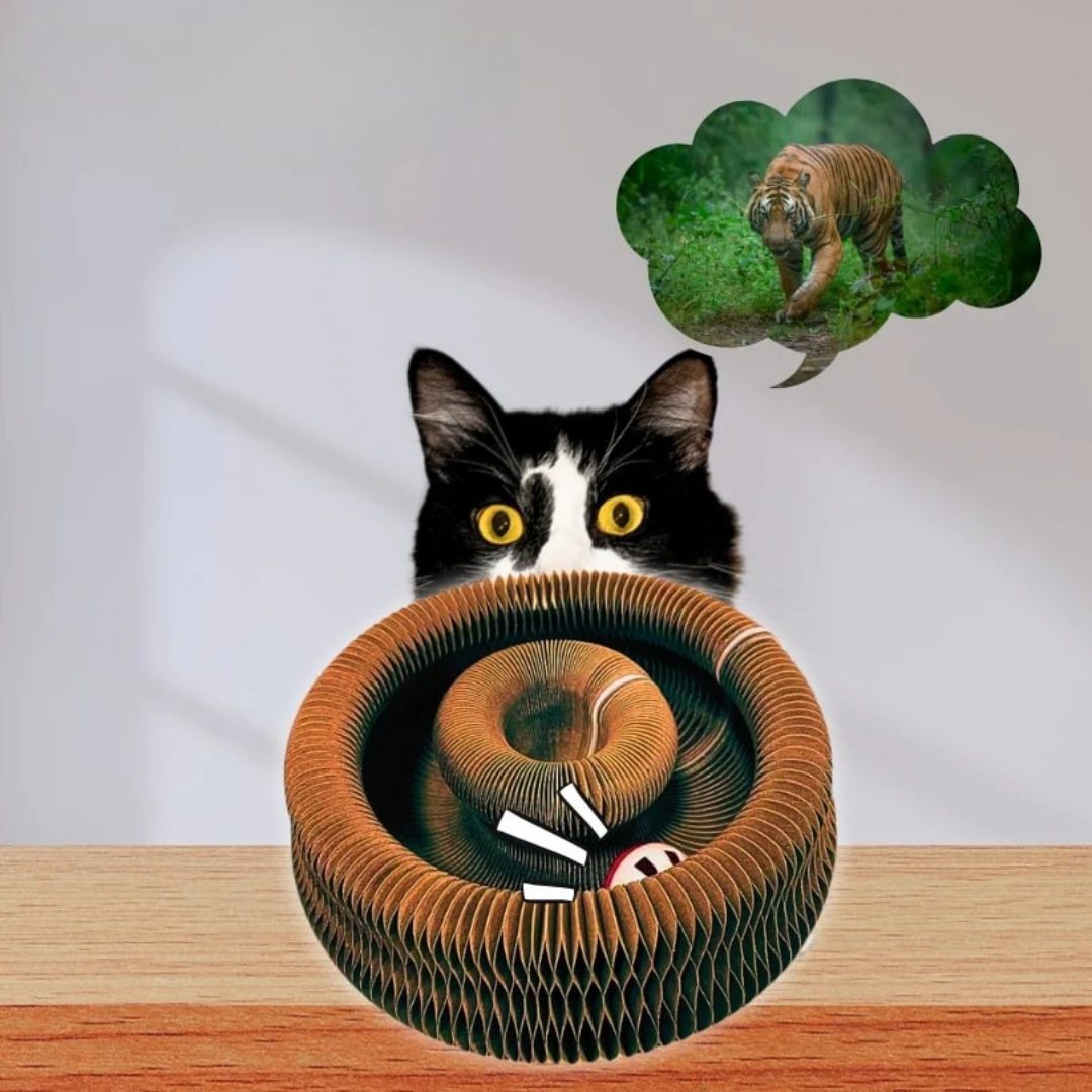 Luna Loop™ – Save Your Sofa, Entertain Your Cat