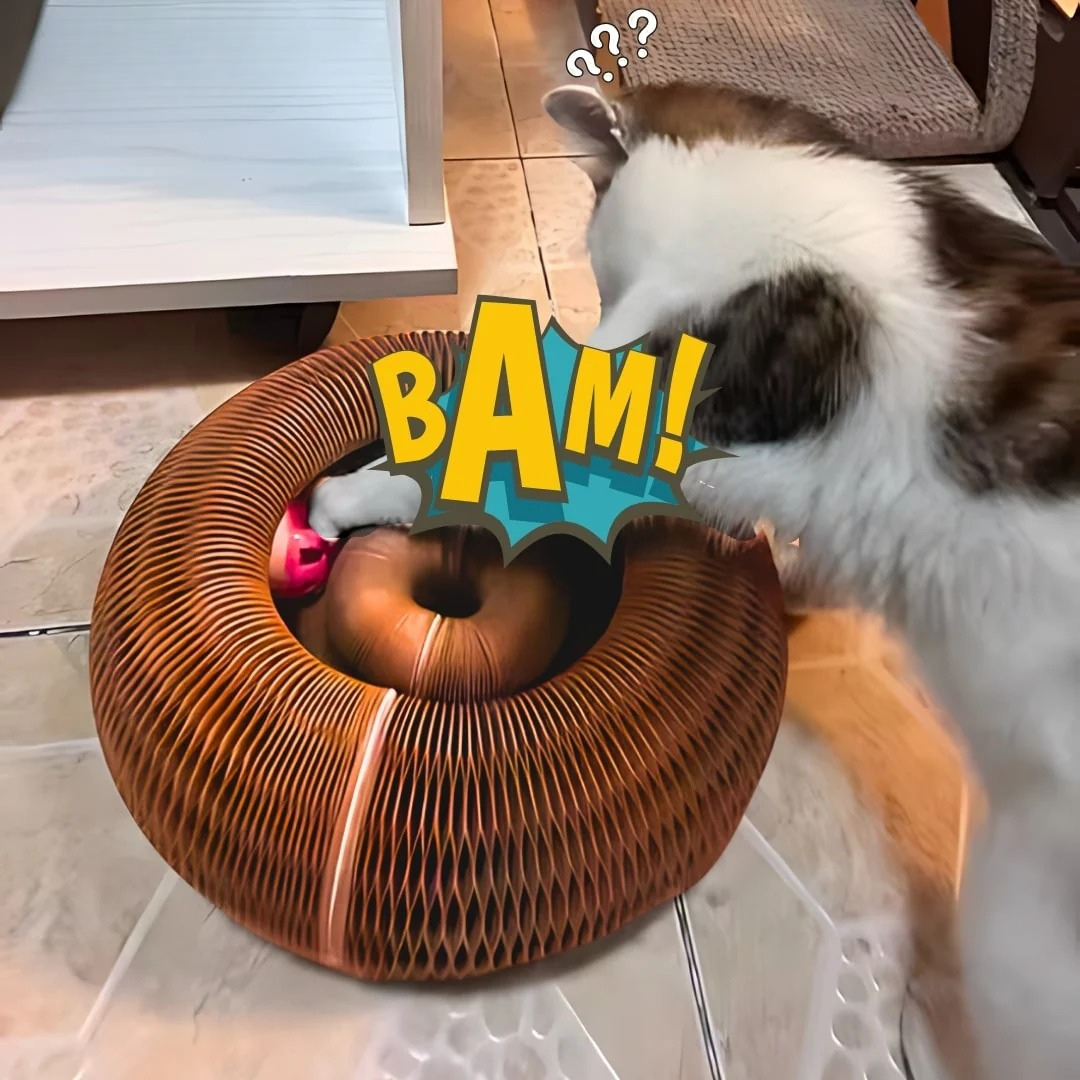 Luna Loop™ – Save Your Sofa, Entertain Your Cat