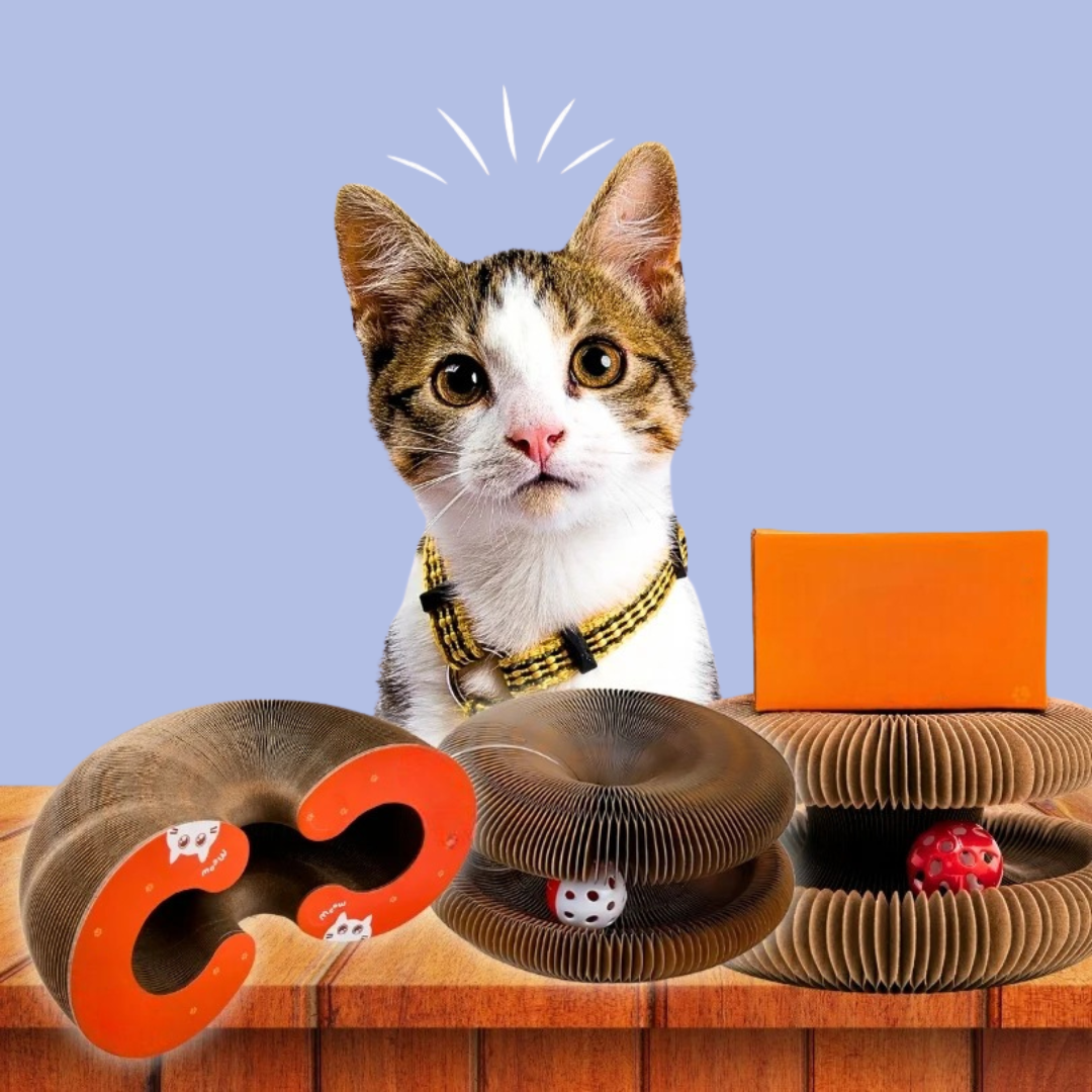 Luna Loop™ – Save Your Sofa, Entertain Your Cat